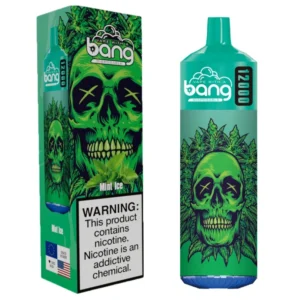 Bang 12000 Puffs Disposable Vape Puff 12k