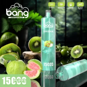 Bang 15000 Puffs 15k Shisha Crystal za enkratno uporabo Vape na debelo