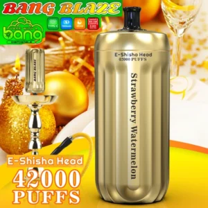 Sample Order Retail Vape Free Shipping Bang Blaze 42000 Puffs