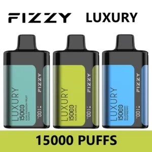 Fizzy Luxury 15000 Puffs 15k Smart Screen Vape jetable