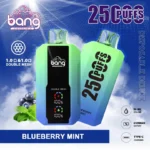 Bang 25000 Puffs 25k Smart Screen Disposable Vape Wholesale