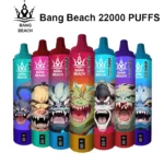 Bang Beach 22000 Puffs 22k Disposable Vape Smart Screen Wholesale