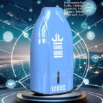 Bang King 12000 Puffs 12k Disposable Vaper Cheap Vape