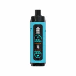 Bang King 25000 Puffs 25k Einweg-Vape Shisha Hookah Vaper