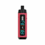 Bang King 25000 Puffs 25k Einweg-Vape Shisha Hookah Vaper