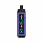 Bang King 25000 Puffs 25k Einweg-Vape Shisha Hookah Vaper