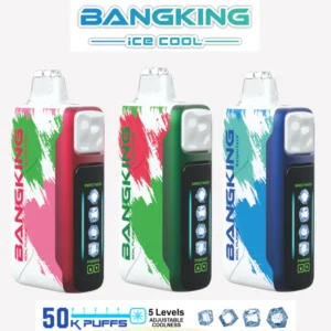 Bang King 50000 Puffs 50k Ice Cool 5 Levels Aejustable Coolness Disposable Vape