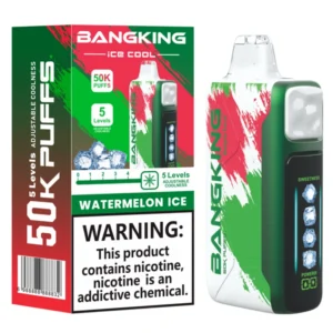 Bang King 50000 Puffs 50k Ice Cool 5 Levels Aejustable Coolness Disposable Vape