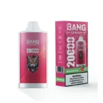Bang Leader 20000 Puffs 20k Einweg Vape