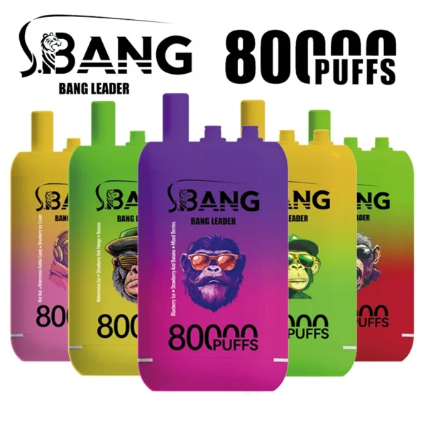 Bang Leader 80000 Puffs 80k 3 in 1 Disposable Vape