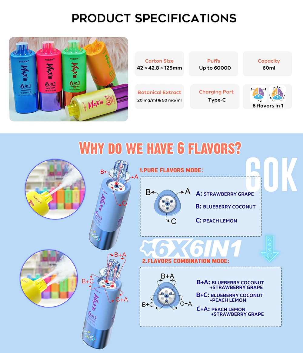 Fizzy 60000 Puff 6 in 1 Puff 60k LED Screen Vape usa e getta Magazzino UE