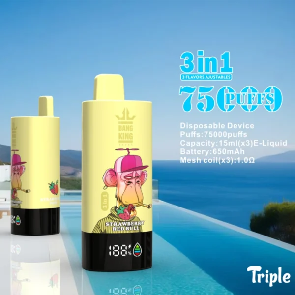 Puffs 75k Bang King 75000 Puffs 3 in 1 Disposable Vape Triple Flavors
