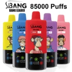 Bang Leader 85000 Puffs 85k Kolm kolmekordne ühekordselt Vape Shop Near Me Tasuta kohaletoimetamine