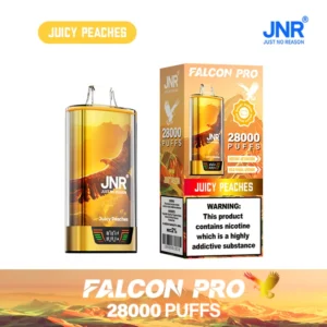 JNR 28000 Puffs za enkratno uporabo Vape
