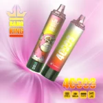 Bang King 40000 Puffs Disposable Vape