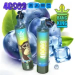 Bang King 40000 Puffs Disposable Vape