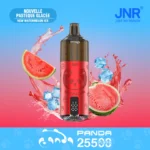 JNR Panda 25500 Puffs TPD Engangs-damp