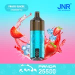 JNR Panda 25500 Puffs TPD Engangs-damp