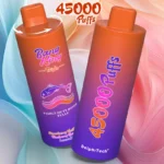Venta al por menor Vape 45000 Puffs Personal Comprar Muestra Orden Mínimo 2 Piezas Bang King