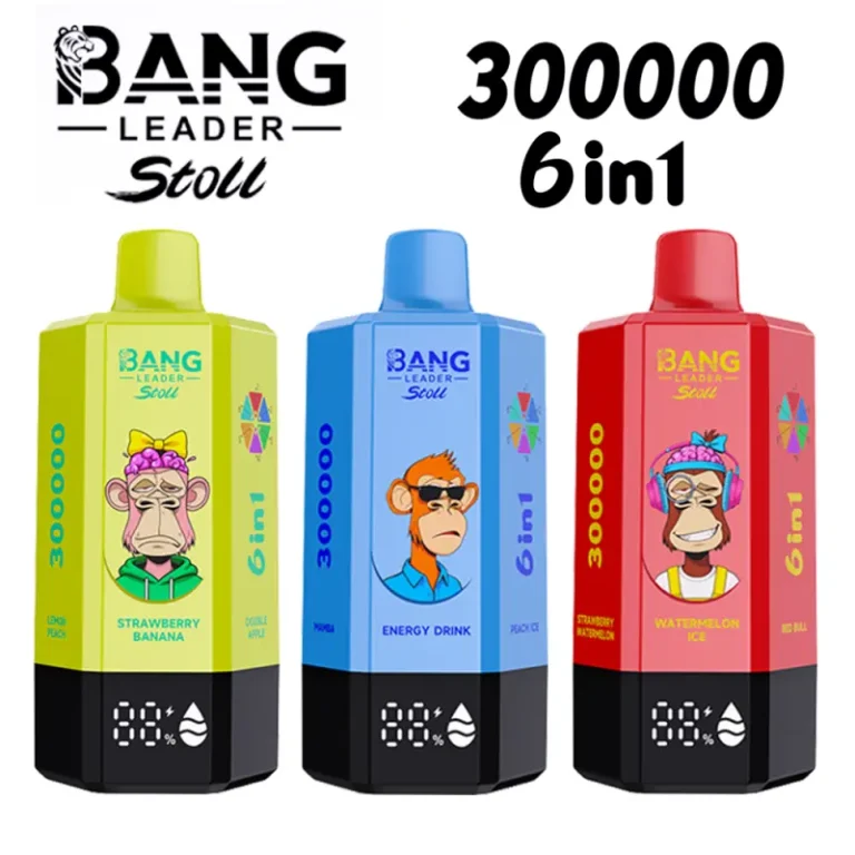 Bang Leader 300k Puffs 300000 6 in 1 Disposable Vape Free Shipping