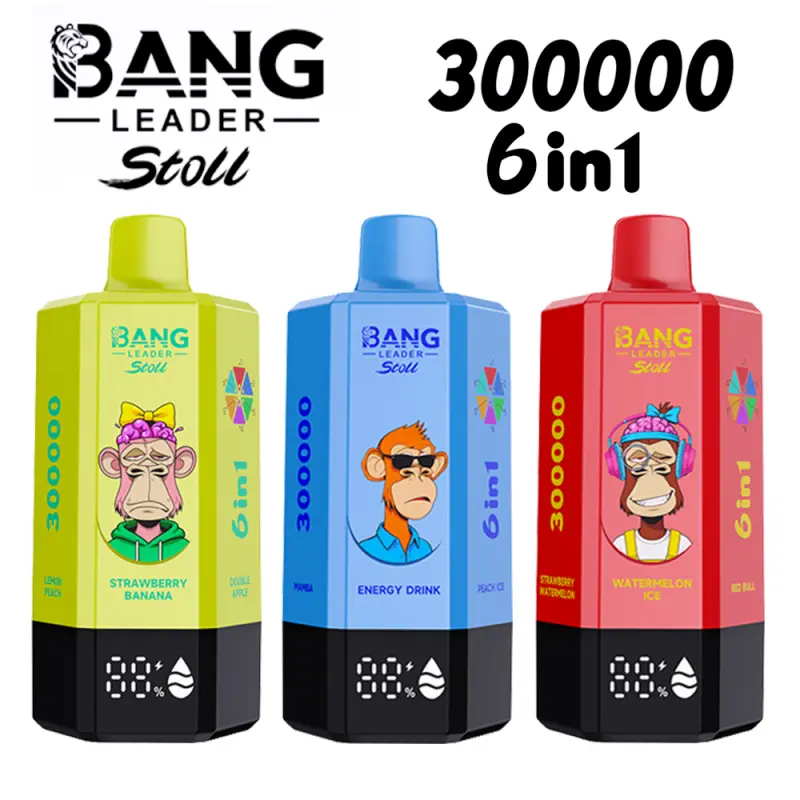 Bang Leader 300k Puffs 300000 6 in 1 Disposable Vape Free Shipping