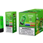 Bang Leader 300k Puffs 300000 6 in 1 Disposable Vape Free Shipping