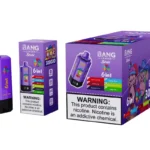 Bang Leader 300k Puffs 300000 6 in 1 Disposable Vape Free Shipping