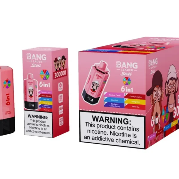 Bang Leader 300k Puffs 300000 6 in 1 Disposable Vape Free Shipping