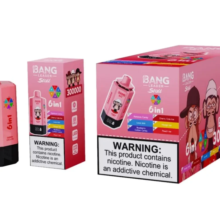 Bang Leader 300k Puffs 300000 6 in 1 Disposable Vape Free Shipping