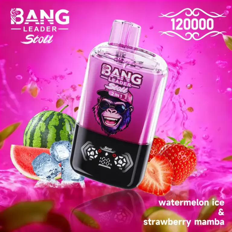 Bang Leader 120000 Puff Double Flavors Disposable Vape EU Warehouse